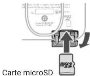 ZOOM F2BT - Insertion d'une carte microSD - 1