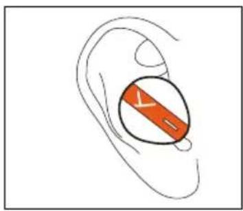 BEYERDYNAMIC Free BYRD - How to insert the earphones - 2