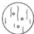 KUBOTA M5660 - ◆Procédure de vérification - 2