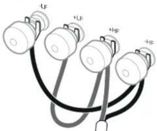 -LF +LF +HF +#