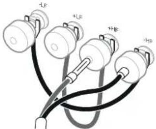 +LF +LF +HF +HF
