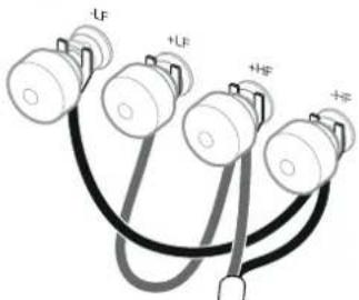 -LF +LF +HF +#