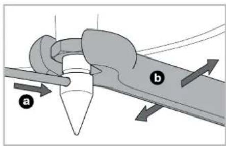 a b