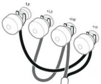 LF +LF +HF +HF