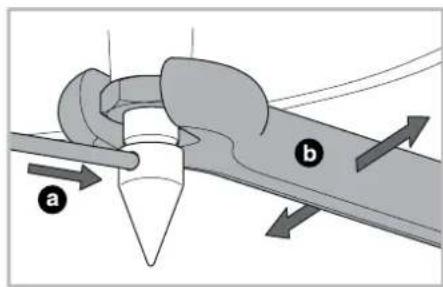 a b