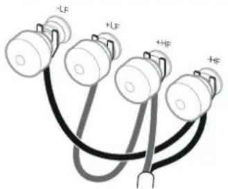 -LF +LF +HF +HF