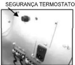 Anselmo Cola Nina - ESTUFA CANALIZADA FUTURA 15 KW E FUTURA 19,5 KW - 2