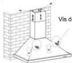 Vis de