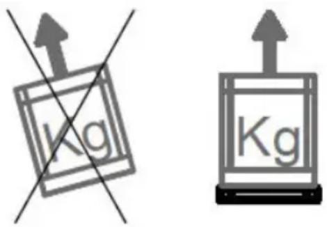 Kg Kg