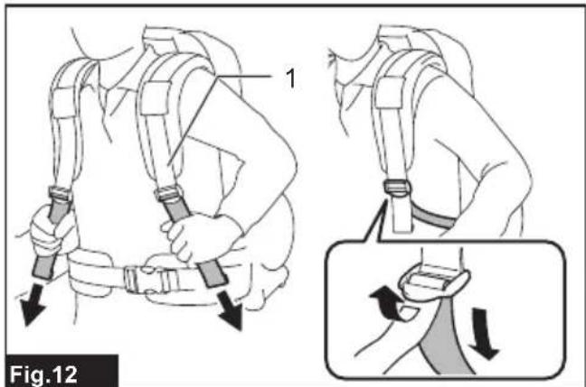 Fig.12