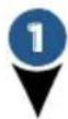 BISSELL PetHairEraser 1941N - Suceur plat voyant LED - 1