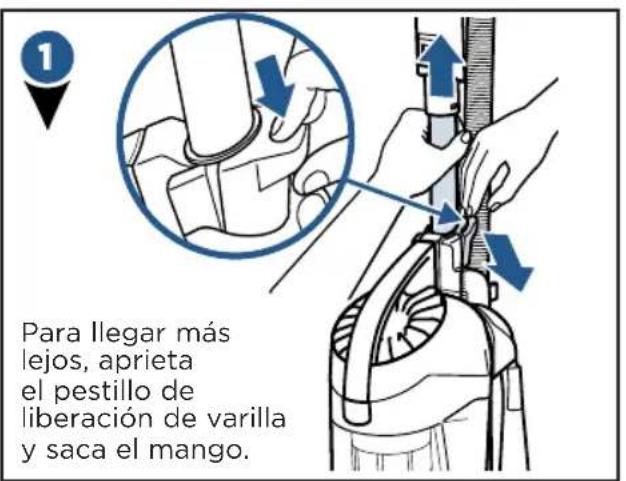BISSELL PetHairEraser 1941N - Limpieza deudas superficies: la varilla - 2