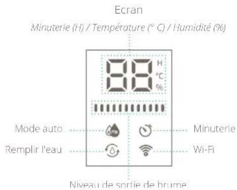 DUUX Beam Mini 2 - Écran - 1