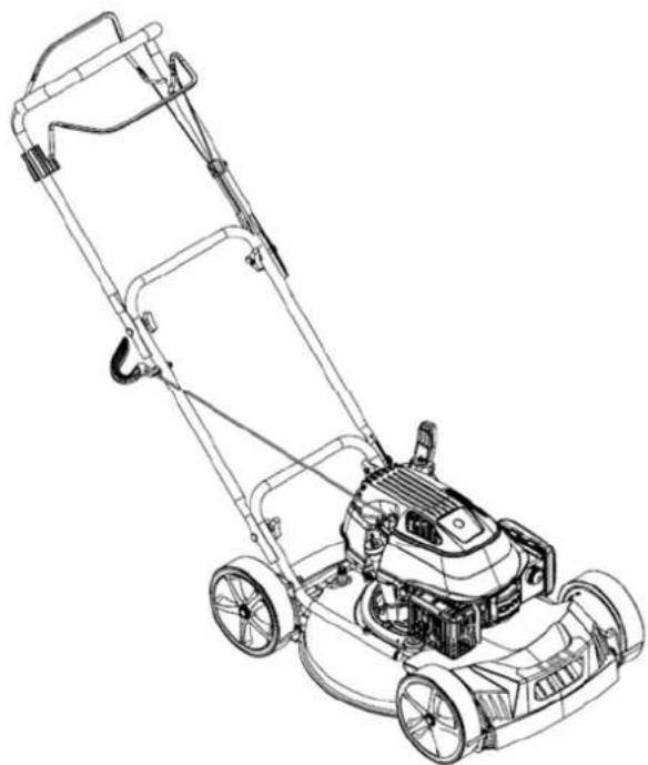 Texas Razor 4810TRM - Razor Series - 1