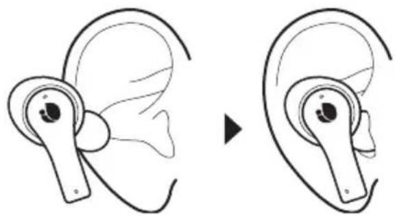 NGS Artica Bloom - Attenzione: - 13