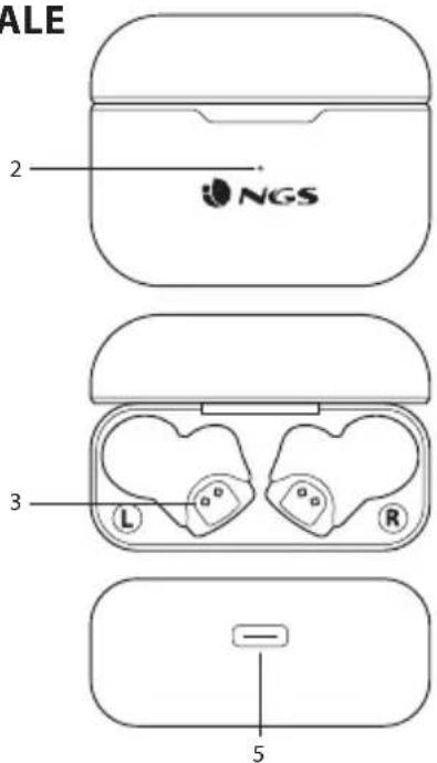 NGS Artica Bloom - PRESENTAZIONE GENERALE - 1