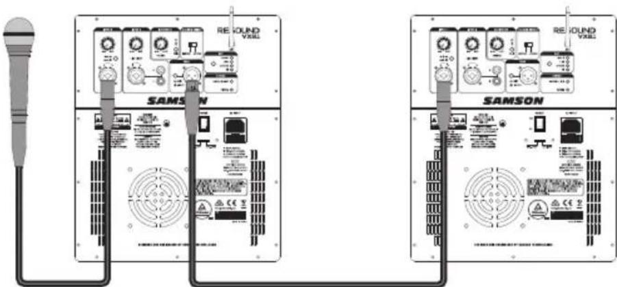 SAMSON Resound VX8.1 - Daisy-chaining two Resound VX8.1 systems - 1