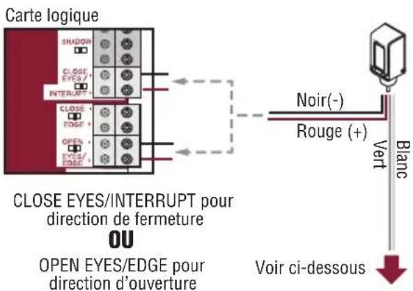 LIFT-MASTER LMRRUL - Câblage de l'appareil de chauffage (fi ls vert et blanc) : - 1