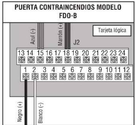 LIFT-MASTER LC36M - CABLEADO DE ALIMENTACION - 3