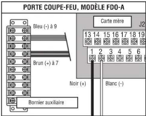 LIFT-MASTER LC36M - CÁBLAGE DE L'ALIMENTATION - 4