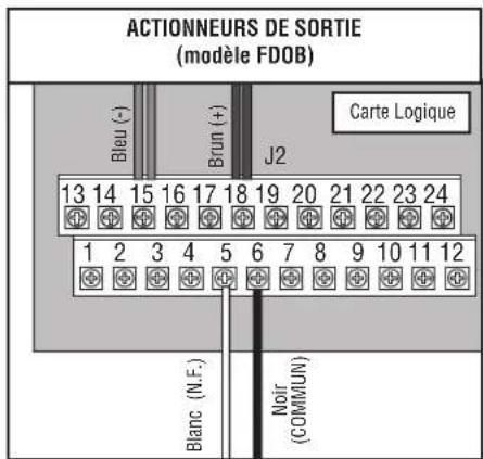 LIFT-MASTER LC36A - CÂBLAGE D'ALIMENTATION - 3