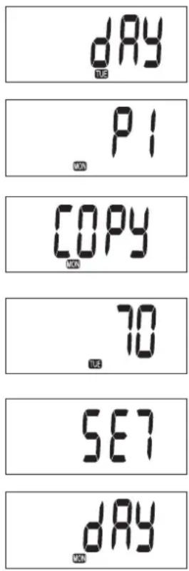 ZIBRO LC 320 - PROGRAMMARE IL WEEKLY TIMER - 2
