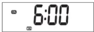 ZIBRO LC SL 530 - PROGRAMMATION DU WEEKLY TIMER - 5