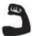 RYOBI One+ R18DDAG - SYMBOLER I MANUALEN - 4