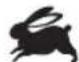 RYOBI One+ R18DDJSCSP - SYMBOLS IN THIS MANUAL - 7