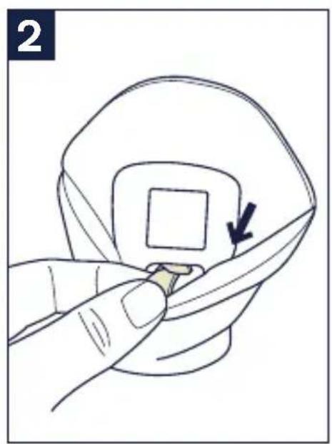 Nuna TRVL - Head and Body Support - 3