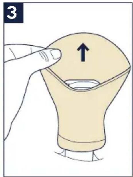 Nuna TRVL - Head and Body Support - 5