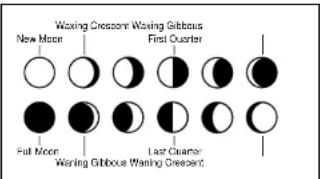 Waxing Crescent: Waxing Gibbons New Mode First Quarter Full Moon Last Quarter Waxing Gibbons Waxing Crescent