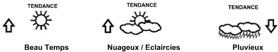 LA CROSSE TECHNOLOGY WS1610IT - PRÉVISIONS ET TENDANCE MÉTÉO ICÔNES DE PRÉVISION MÉTÉO : - 1