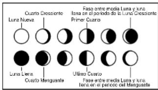 LA CROSSE TECHNOLOGY WS8015U - Fase Lunar - 1