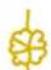BABY LOCK Solaris Vision - Couture en Continu d'un Motif de Points - 3