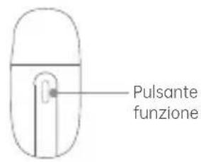 Pulsante funzione