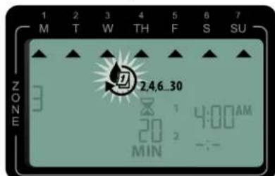 RAIN BIRD ST8Wifi - 4ours pairs - 1