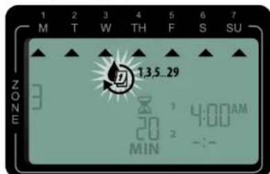 RAIN BIRD ST8Wifi - 4b Jours impairs - 1