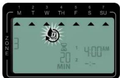RAIN BIRD ST8Wifi - 4a Jours personalisés - 1