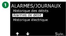 RAIN BIRD ESPLXIVM - Alarmes de débit des stations - 3