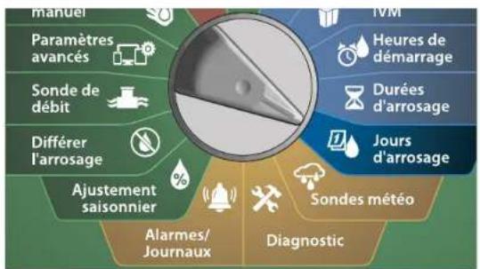 RAIN BIRD ESPLXIVM - Personnalisé, Jours pairs, Jours impairs, Impairs hors 31 - 2