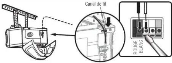 CHAMBERLAIN C2202C - ÉTAPE 11 Câbler la commande de porte à l'ouvre-porte de garage - 3