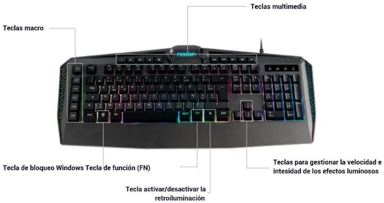 Teclas multimedia Teclas macro Tecla de bloqueo Windows Tecla de función (FN) Tecla activar/desactivar la retroiluminación Teclas para gestionar la velocidad e intensidad de los efectos luminosos