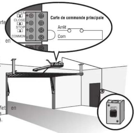 LIFT-MASTER HCT10 - CÁBLAGE - 1