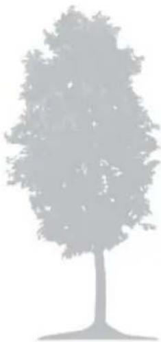 Texas RMX800 - Remove fallen fruit and branches - 1