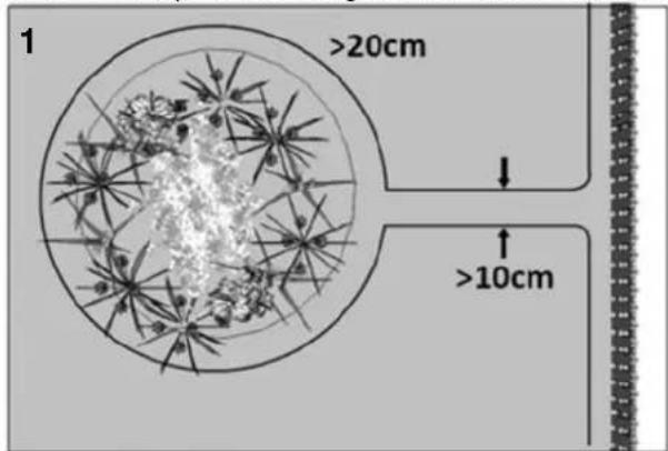 Texas RMX500 - Blomsterbede - 1