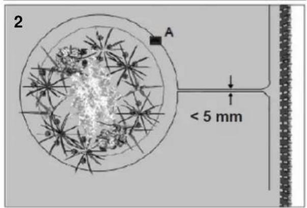 Texas RMX500 - Kabel als Mauer verwenden - 2