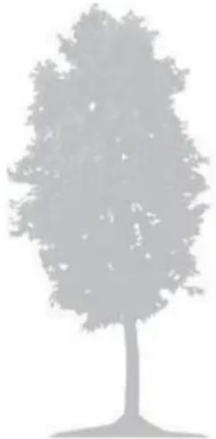 Texas RMX500 - Enlever les fruits et les branches tombés - 1