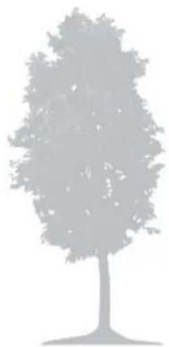 Texas RMX500 - Trees - 1