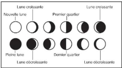 LA CROSSE TECHNOLOGY WS9032U - Phase de la lune - 1